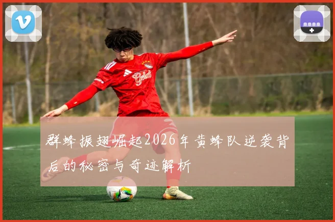 群蜂振翅崛起2026年黄蜂队逆袭背后的秘密与奇迹解析