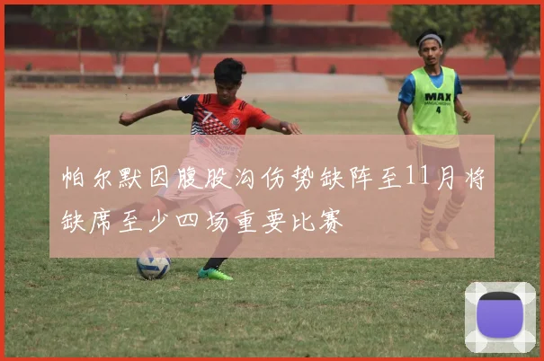 帕尔默因腹股沟伤势缺阵至11月将缺席至少四场重要比赛