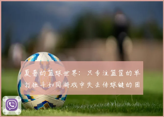 夏普的篮球世界：只专注篮筐的单打独斗如同游戏中失去传球键的困境