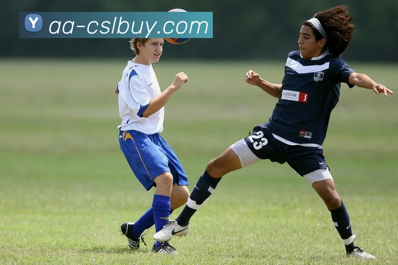 App Interface Preview