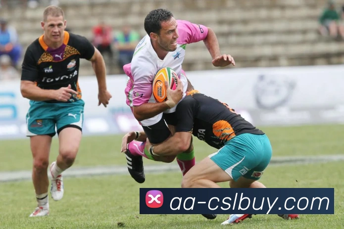 中超买球官网APP 封面图